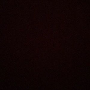 Meet your Posher, Alondra